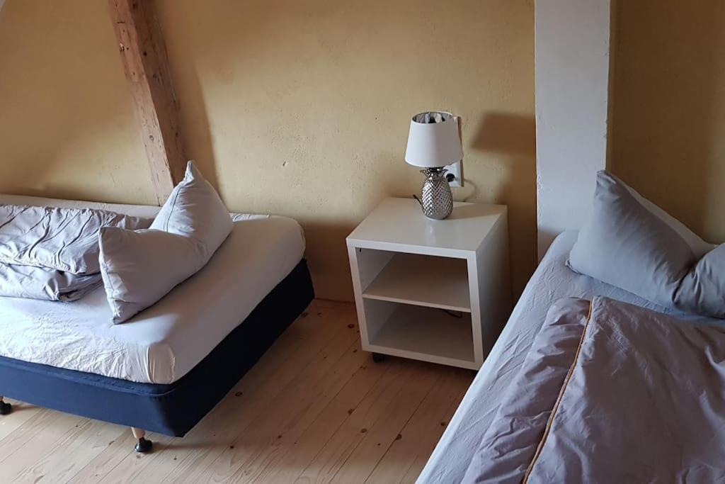 Ferienwohnung Salamander Pirna Exterior photo